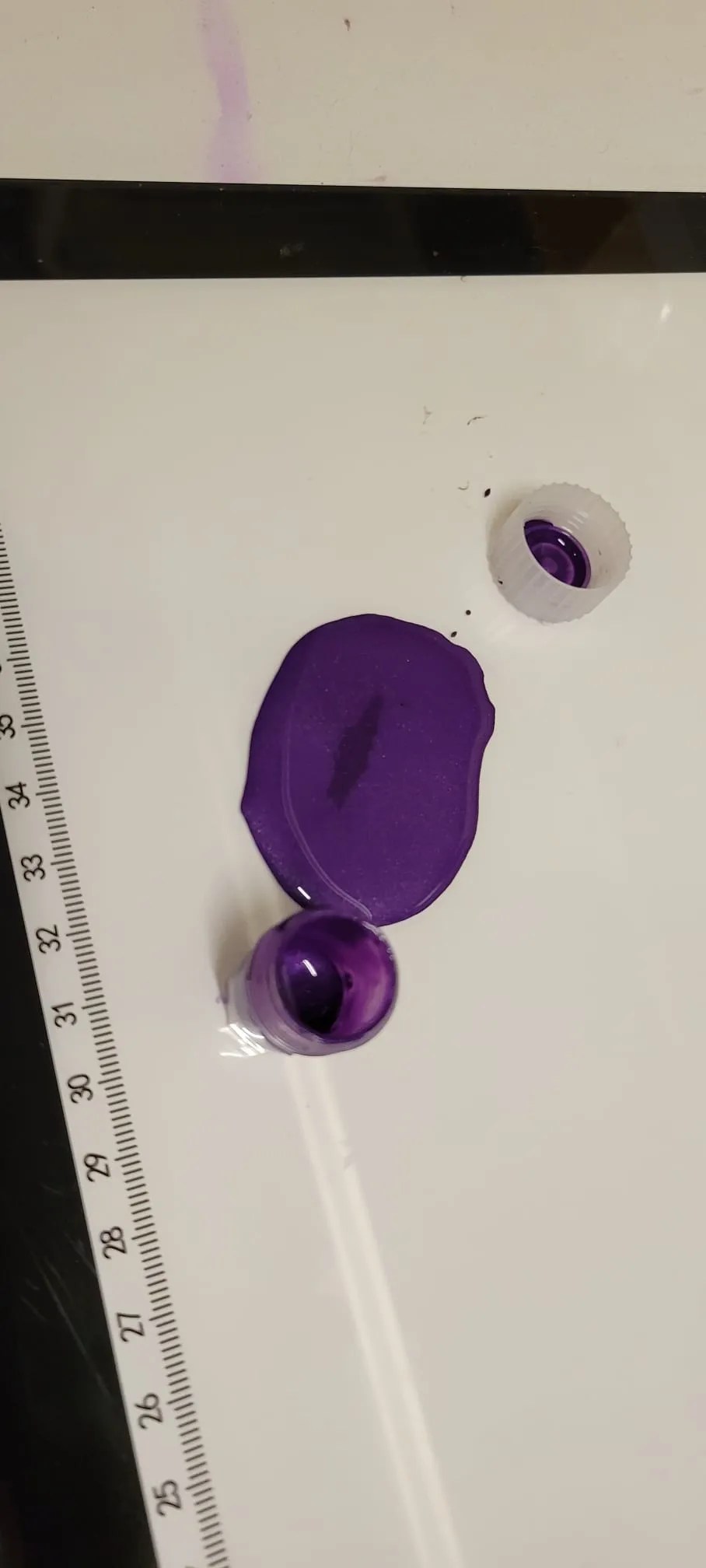 WhatsApp Image 2025-03-24 at 21